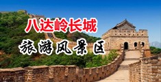 狂插入美女视频在线观看中国北京-八达岭长城旅游风景区